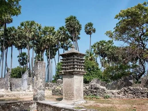 Delft Island — Wild ponies & coral walls